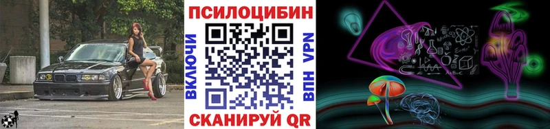 Купить закладки  Казань  Галлюциногенные грибы Psilocybe 